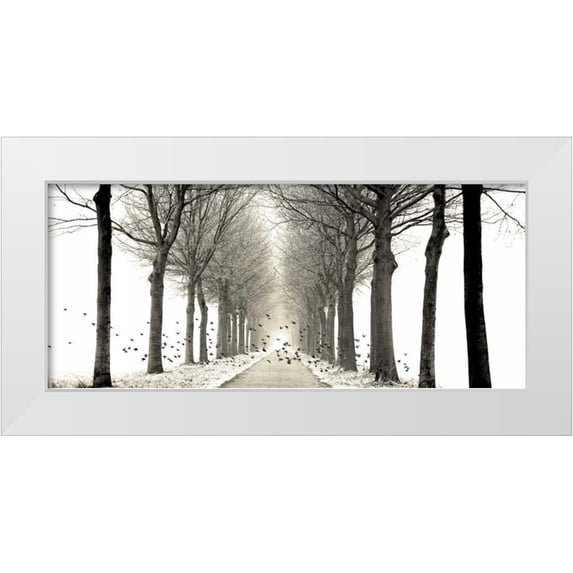 Van de Goor, Lars 32x16 White Modern Wood Framed Museum Art Print Titled - Birds