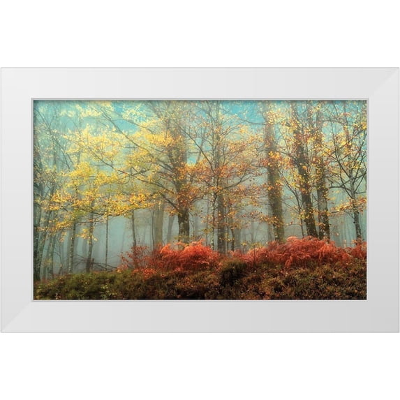 Van de Goor, Lars 32x21 White Modern Wood Framed Museum Art Print Titled - Beeches In