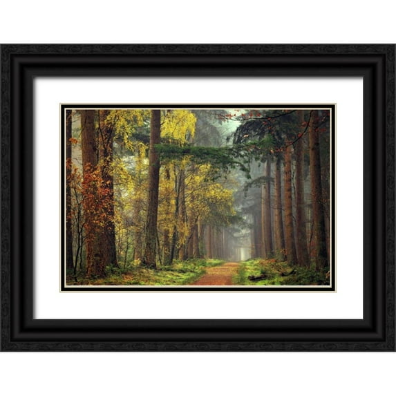 Van de Goor, Lars 32x23 Black Ornate Wood Framed with Double Matting Museum Art Print Titled - Colors of the Forest