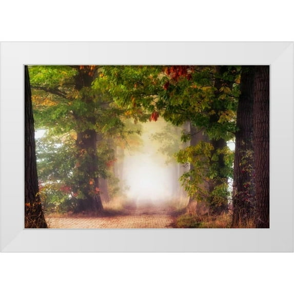 Van de Goor, Lars 32x23 White Modern Wood Framed Museum Art Print Titled - Fall Colors