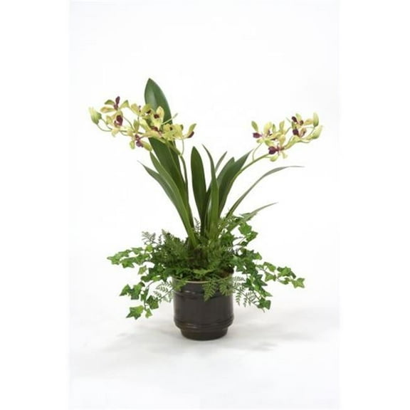 Vanda Orchid in Dark Bronze Pot, Green
