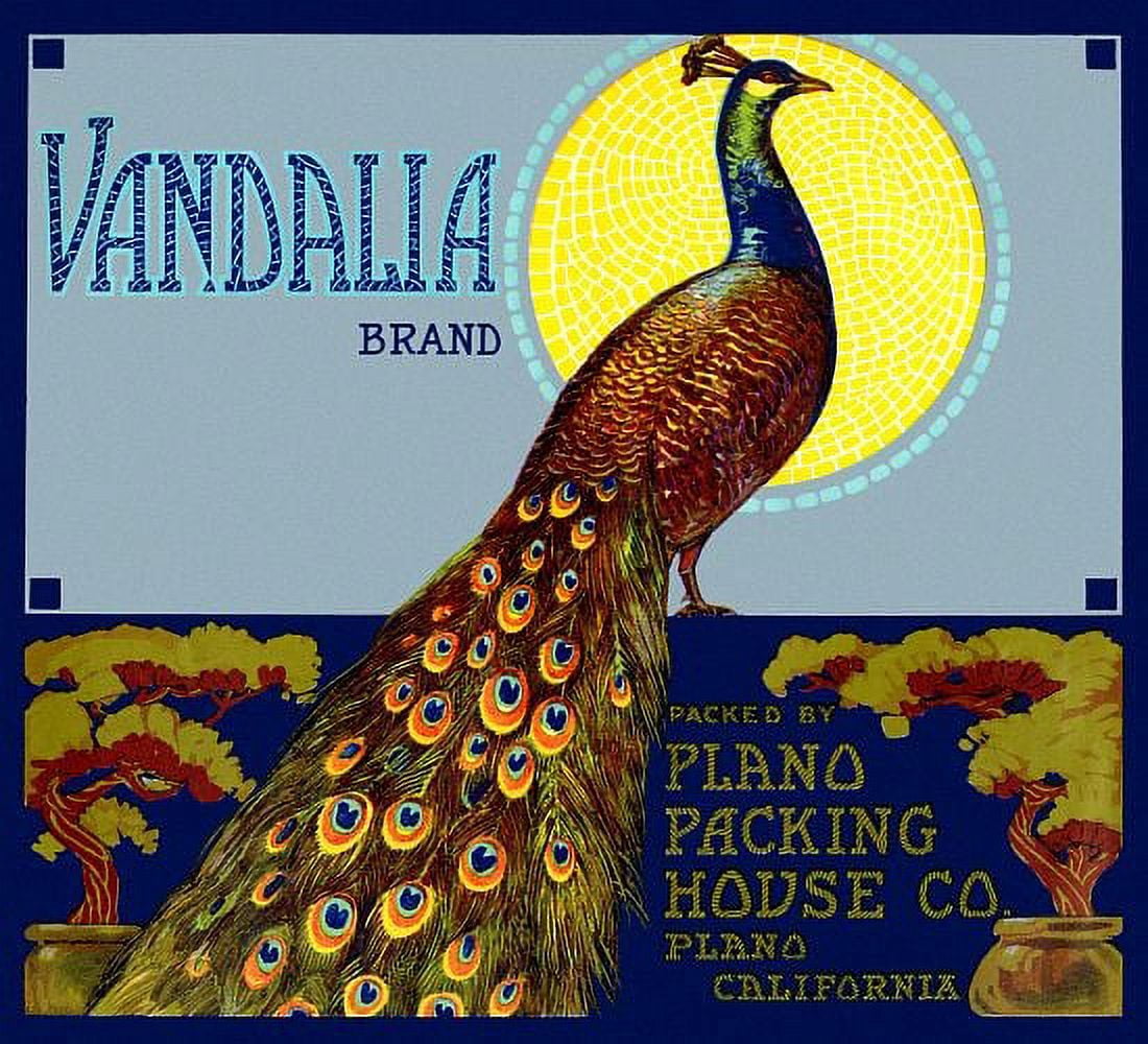 Vandalia Peacock label Canvas Art -  (18 x 24)