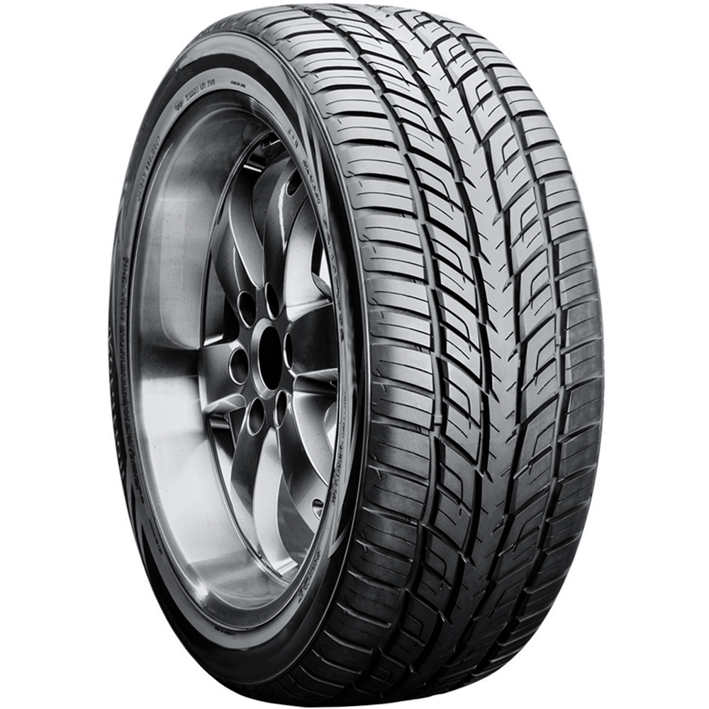 ビッグサイズ 5L.4L 20kg 12 Vanderbilt Velozza ZXV4 All