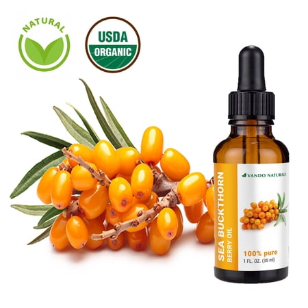 Vando Naturals 800472 1 oz Sea buckthorn Fruit Oil Organic