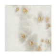 thumbnail image 1 of Vanessa Binder 'Spangled Grey II' Canvas Art, 1 of 3