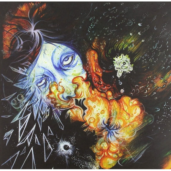 Vanessa Van Basten Disintegration (10) (Vinyl Record)