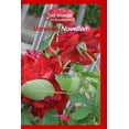 thumbnail image 1 of Vanessas Novellen (Paperback), 1 of 1