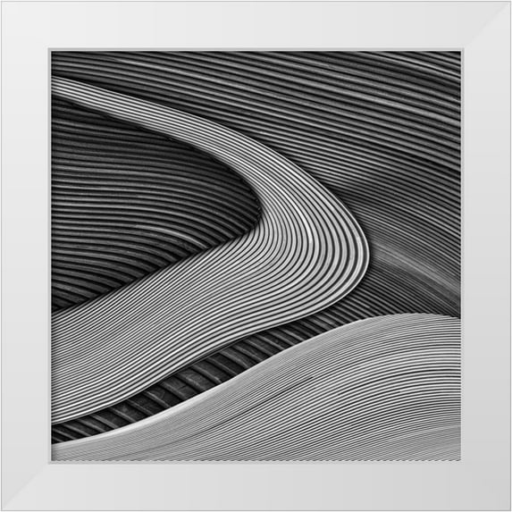 Vangindertael, Luc 15x15 White Modern Wood Framed Museum Art Print Titled - The Wood Project Iii - Zen Garden