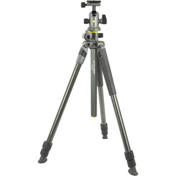 ALTA PRO 2+ 263CT 3-Section Carbon Fiber Tripod Legs with BH-100 Ball Head, Gray