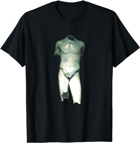 Vani Bronze Torso Greek Statue Hellenic Greekcore Aesthetic T-Shirt ...
