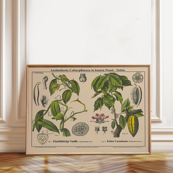 Vanilla And Cacao Botanical Wall Art Print