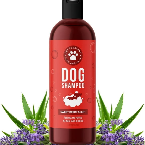 Soothing Oatmeal Shampoo for Dogs - Cleansing and Moisturizing Aloe & Oatmeal Dog Shampoo for Smelly Dogs of all Ages & Breeds - Gentle Sulfate and Paraben Free Dog Wash Made in USA (Sweet Fruity)
