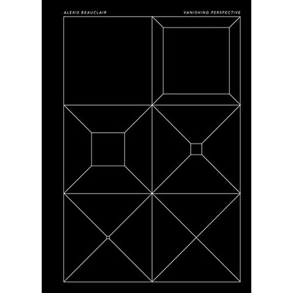 Pre-Owned Vanishing Perspective (Paperback) 9781937541309
