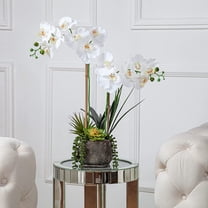 Vanity Art Artificial Phalaenopsis Orchids with Succulents Floral Arrangement in Pot | 2 Stems Real Touch Artificial Flowers for Living Room, Entryway Table Decorations, MLTAO-1013SS