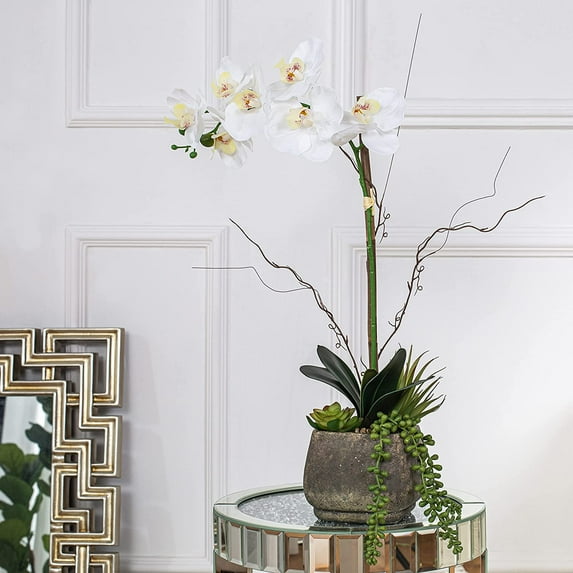 Vanity Art Phalaenopsis Orchid Floral Arrangement in Decorative Cement Pot | Single-stem Artificial Real Touch Silk Orchid home decor with Succulents in Grey Cement Pot, MLTAO-1007SS