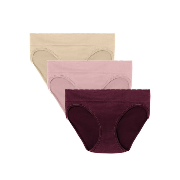 Vanity Fair Lingerie Women's No Pinch No Show Seamless Bikini Underwear, 3-Pack