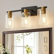 Vanity Lights for Bathroom 3 Light Industrial Wall Mounted Mirror Wall Lights with Glass Cover