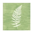 thumbnail image 1 of Vanna Lam 'Forest Ferns III' Canvas Art, 1 of 3