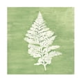 thumbnail image 1 of Vanna Lam 'Forest Ferns IV' Canvas Art, 1 of 3