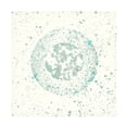 thumbnail image 1 of Vanna Lam 'Mica Aperture I' Canvas Art, 1 of 3