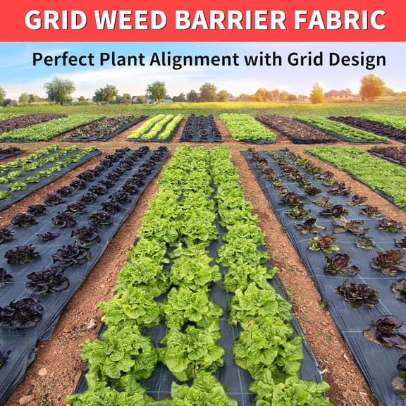 Vanver 3ft x 300ft Landscape Fabric with Visual Planting Grid - Heavy Duty Weed Barrier Fabric for Garden, Driveway & Ground Cover