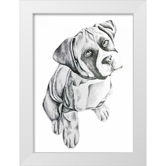 Varacek, Pam 18x24 White Modern Wood Framed Museum Art Print Titled - Boxerinpencil