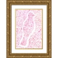 thumbnail image 1 of Varacek, Pam 23x32 Gold Ornate Wood Framed with Double Matting Museum Art Print Titled - Feathered Camouflage, 1 of 4