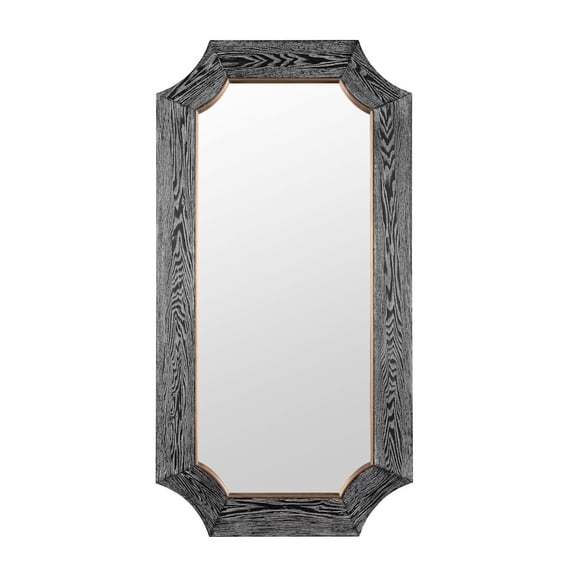 Varaluz Farra 28x54 Wall Mirror - Cerused Black/Weathered Brass