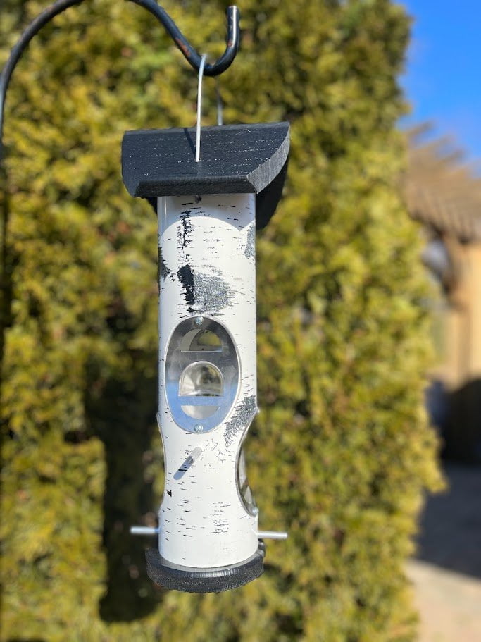 Birch Log Squirrel Resistant Metal and Plastic Tube Bird Feeder