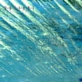 thumbnail image 1 of Variant - Sequential Sleep [ver1.2] - Electronica - CD, 1 of 1