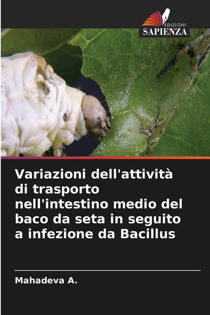 Variazioni dell'attività di trasporto nell'intestino medio del baco da seta in seguito a infezione da Bacillus, (Paperback)