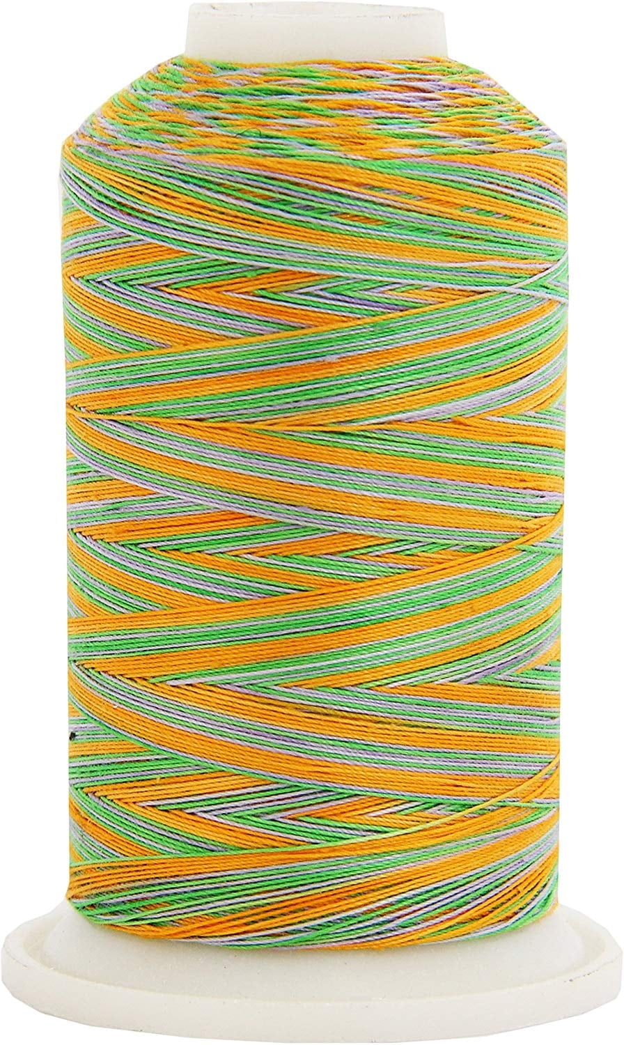 Threadart Multicolor 100% Cotton Thread | Variegated Colors for Quilting, Sewing, and Embroidery | 40/3wt - 600M (660 Yards) Cones | Long Staple Low Lint | Fields Color 2643