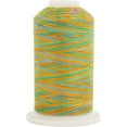 thumbnail image 1 of Threadart Multicolor 100% Cotton Thread | Variegated Colors for Quilting, Sewing, and Embroidery | 40/3wt - 600M (660 Yards) Cones | Long Staple Low Lint | Fields Color 2643, 1 of 8