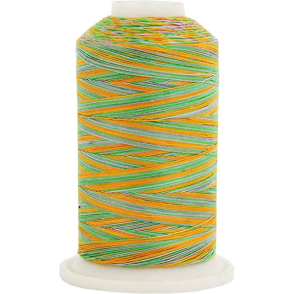 Threadart Multicolor 100% Cotton Thread | Variegated Colors for Quilting, Sewing, and Embroidery | 40/3wt - 600M (660 Yards) Cones | Long Staple Low Lint | Fields Color 2643