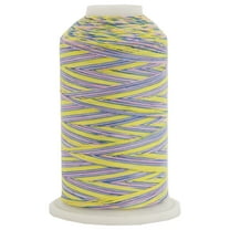 Threadart Multicolor 100% Cotton Thread | Variegated Colors for Quilting, Sewing, and Embroidery | 40/3wt - 600M (660 Yards) Cones | Long Staple Low Lint | Wildflowers Color 2636