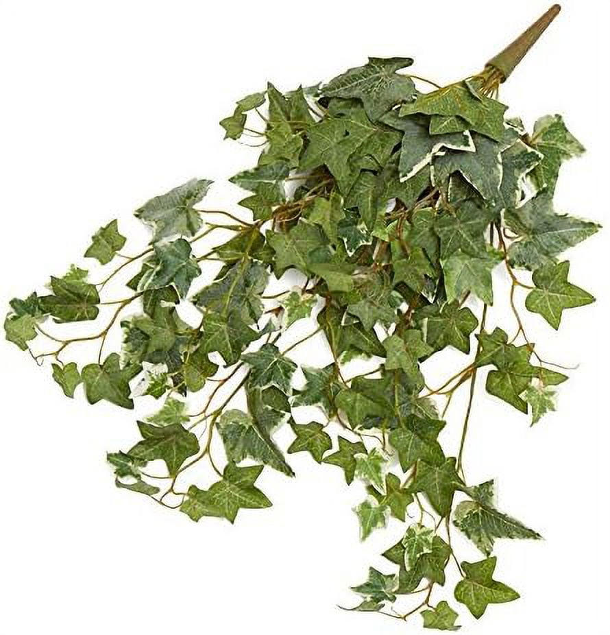 Variegated Silk Draping Bushes Greenery Bushes 2