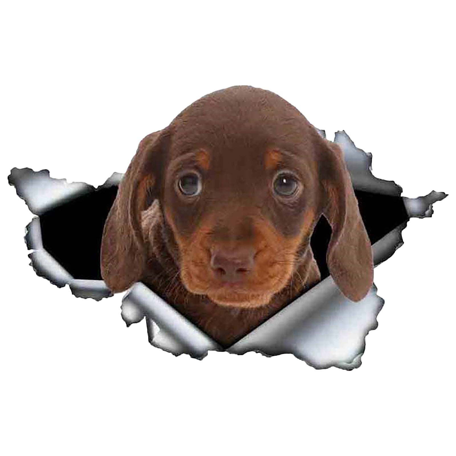 Variety of Stickers Say It Again Sticker for Teens Rear Window Decal