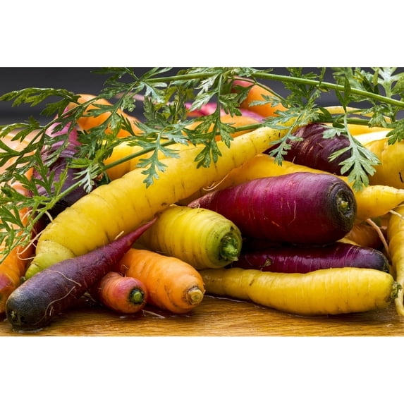 Variety of coloured fresh carrots laying on a wooden surface by Michael Interisano / Design Pics