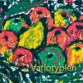 thumbnail image 1 of Variotypien, (Paperback), 1 of 1