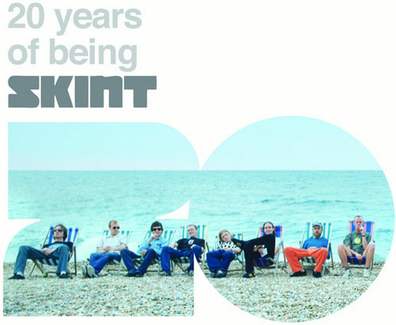 Various Artist - 20 Years of Being Skint [Vinyl]