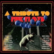 Various Artists - A Tribute To Pink Floyd Various Artists - Music & Performance - CD
