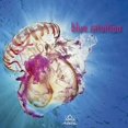 thumbnail image 1 of Various Artists - Blue Intuition (Various Artists) - Music & Performance - CD, 1 of 1