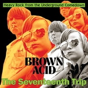 Various Artists - Brown Acid - The Seventeenth Trip Various Artists - Music & Performance - Vinyl