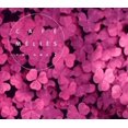 thumbnail image 1 of Various Artists - Cafe Melies, Vol. 2 - CD, 1 of 1