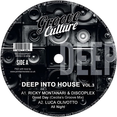 Various Artists - Deep Into House Vol. 3 / Various - Music & Performance - Vinyl