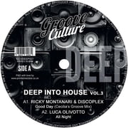 Various Artists - Deep Into House Vol. 3 / Various - Music & Performance - Vinyl