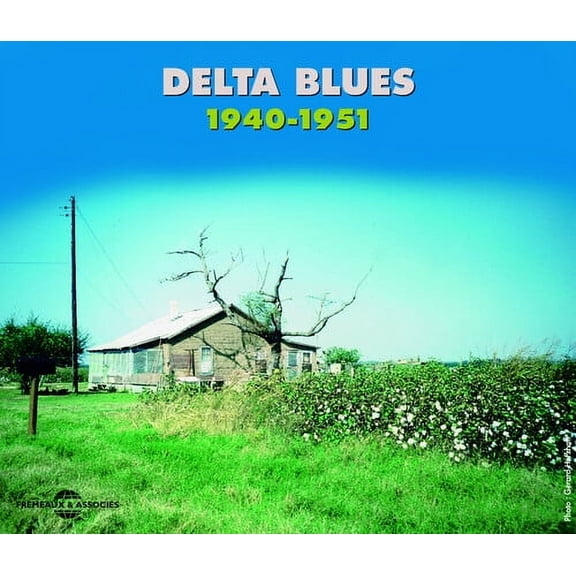 Various Artists - Delta Blues 1940-51 - Music & Performance - CD