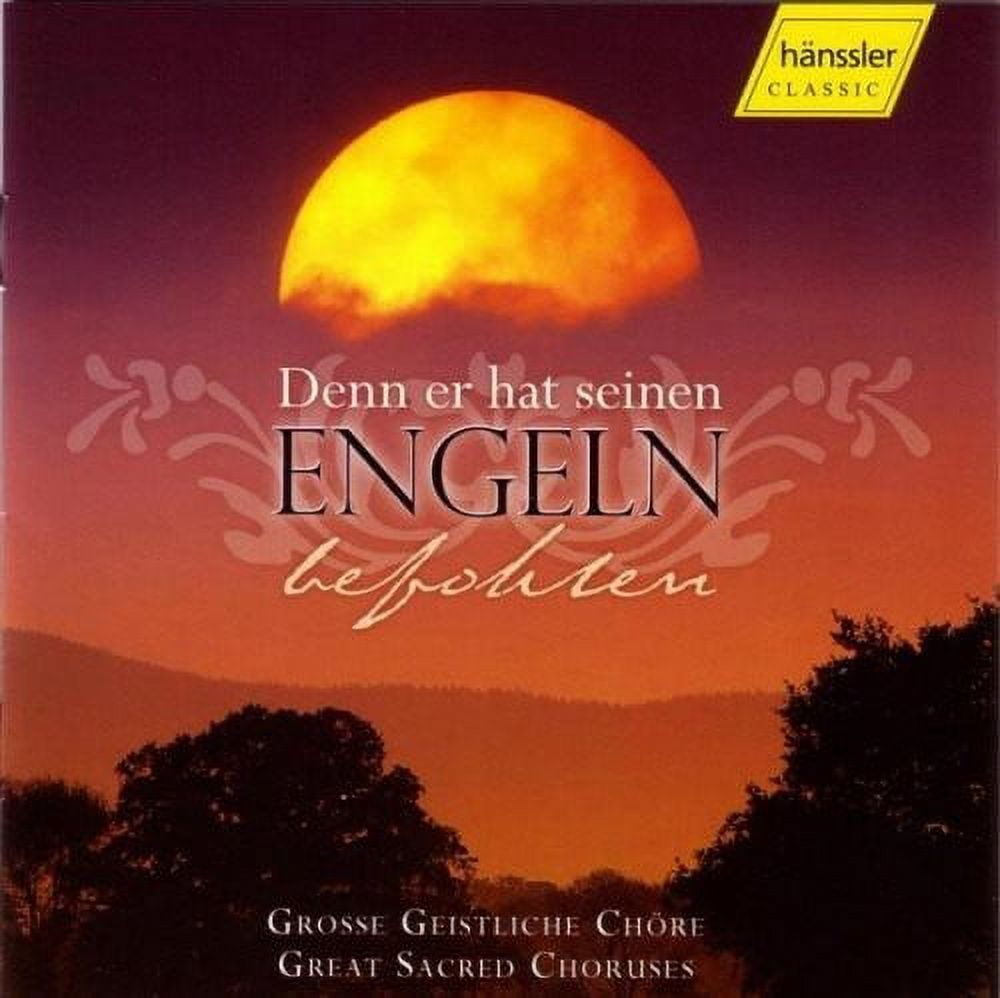 Various Artists - Denn Er Hat Seinen Engeln Befohlen / Various - Music & Performance - CD