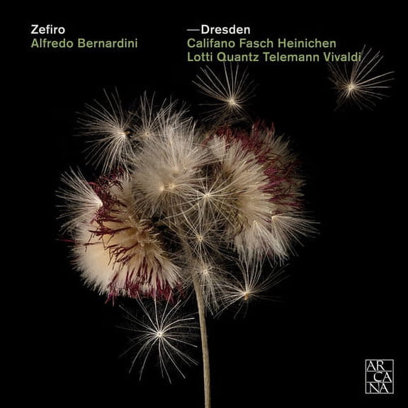 Various Artists - Dresden - Music & Performance - CD