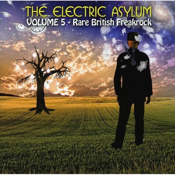 Various Artists - Electric Asylum, Vol. 5: Rare British Freakrock - Rock - CD